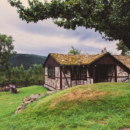 Willa Z Gwarantowanym Widokiem Na Gory Aleksander Panorama Swieradow-Zdroj Luaran gambar