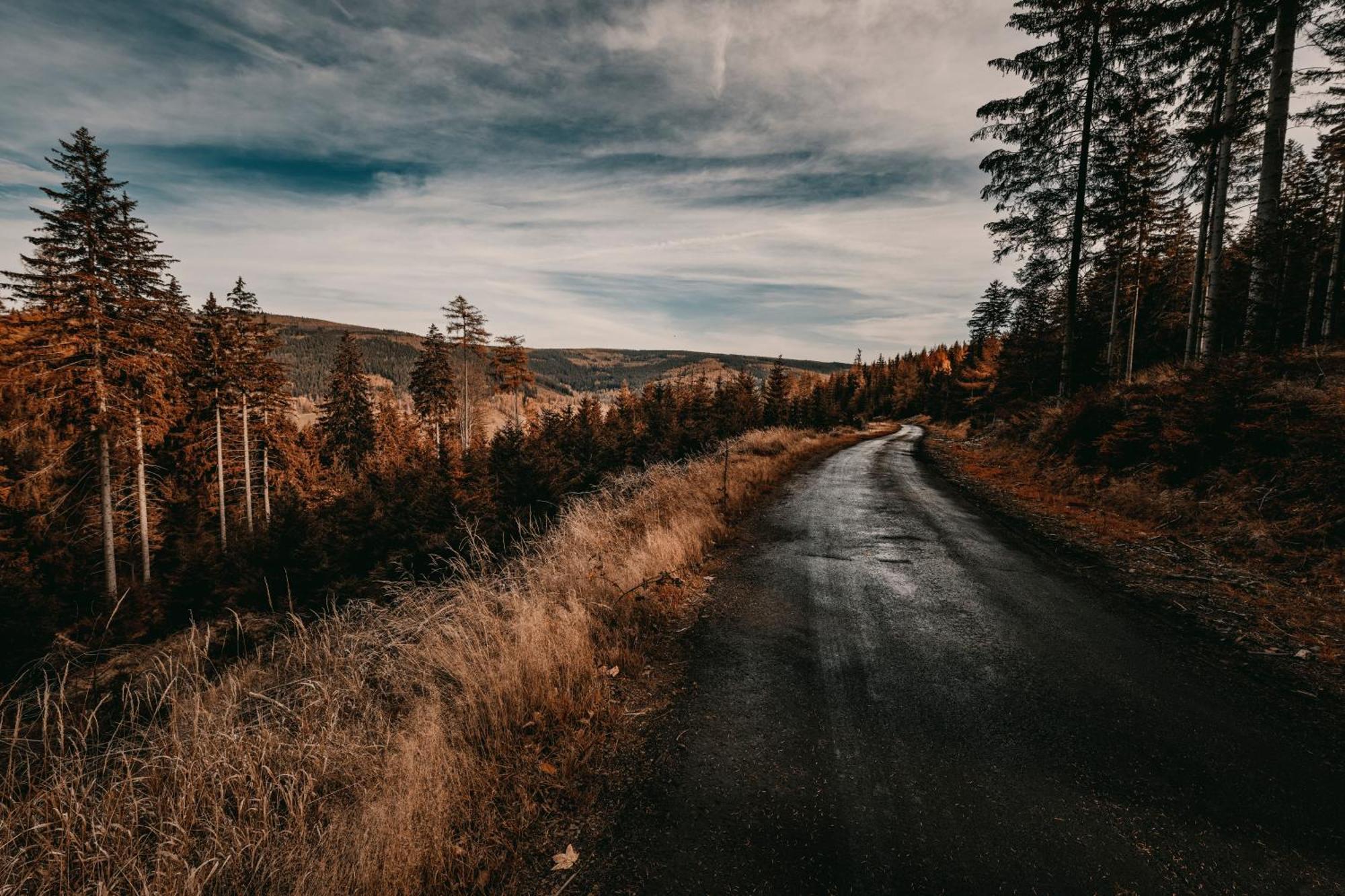 Willa Z Gwarantowanym Widokiem Na Gory Aleksander Panorama Swieradow-Zdroj Luaran gambar